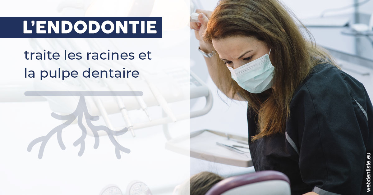 https://www.cabinet-dentaire-lorquet-deliege.be/L'endodontie 1