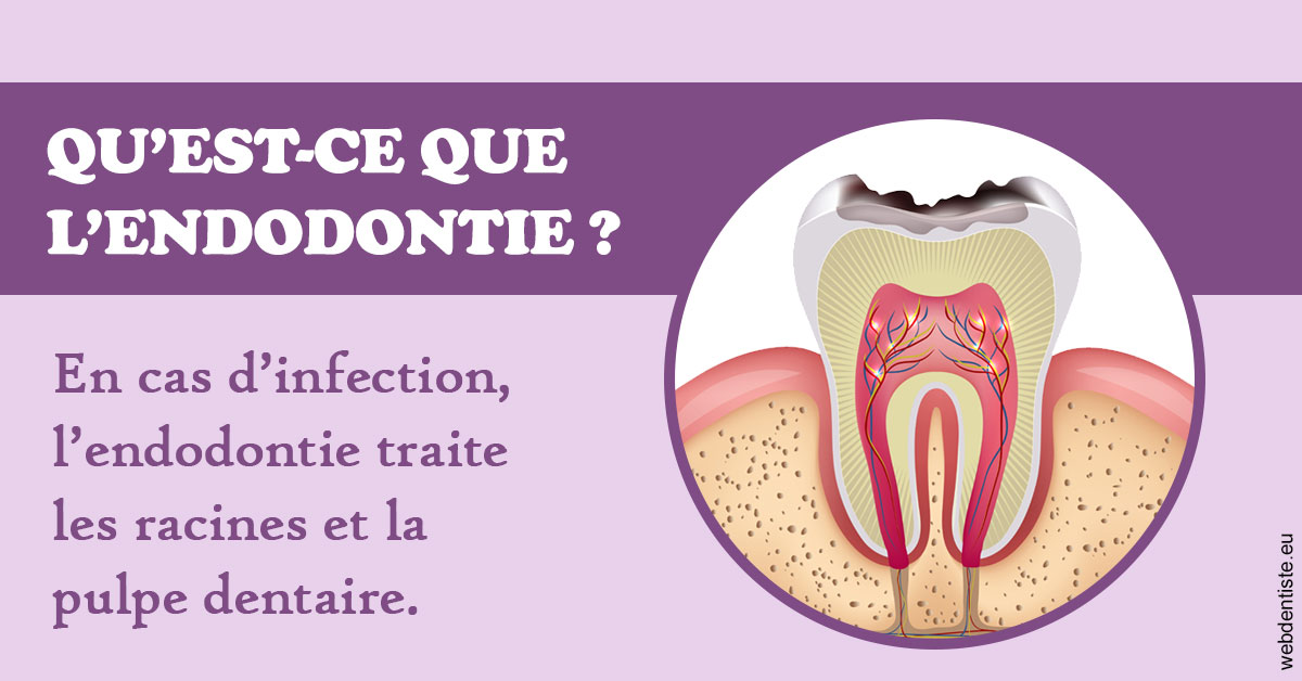 https://www.cabinet-dentaire-lorquet-deliege.be/2024 T1 - Endodontie 02