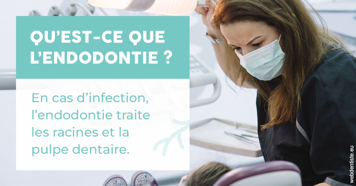 https://www.cabinet-dentaire-lorquet-deliege.be/2024 T1 - Endodontie 01