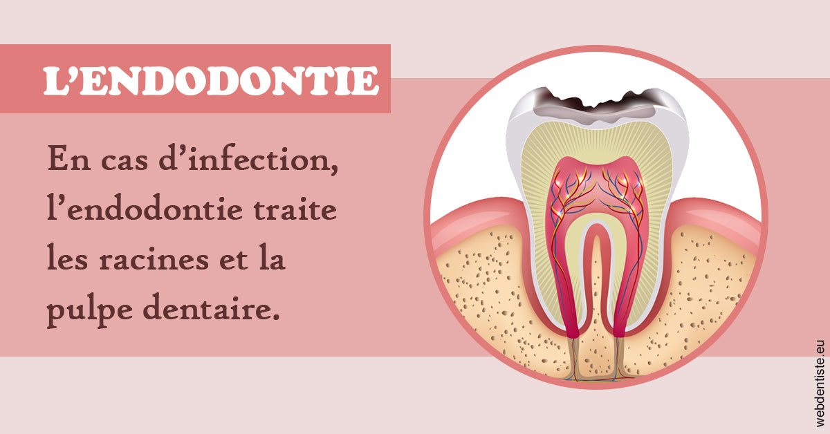https://www.cabinet-dentaire-lorquet-deliege.be/L'endodontie 2